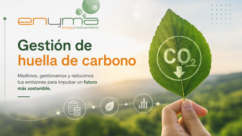 Convertimos tus compromisos ambientales en resultados: gestión de la huella de carbono